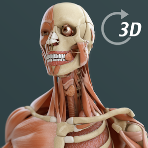 anatomy download free