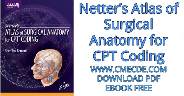 anatomy download free
